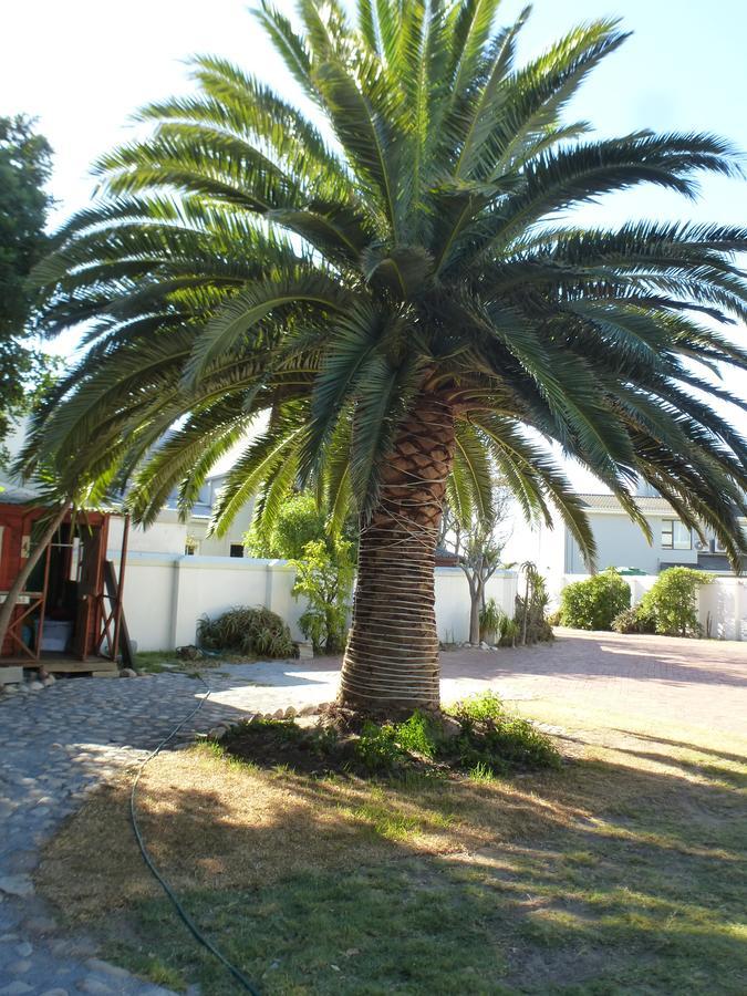 Cape Town Milnerton Lagoon Villa Zewnętrze zdjęcie